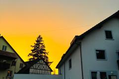 WhatsApp-Image-2026-01-13-at-17.30.20-6